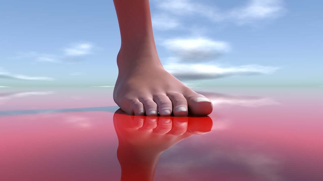 발 이미지