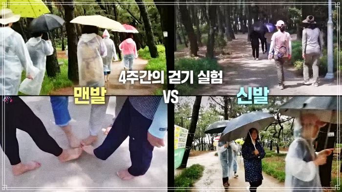생로병사의 비밀 873회 맨발로 걸으면 생기는 일, 효능, 방법, 운동 효과, 시간, 장소 정보 방법