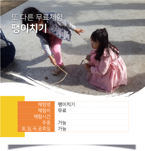 팽이치기