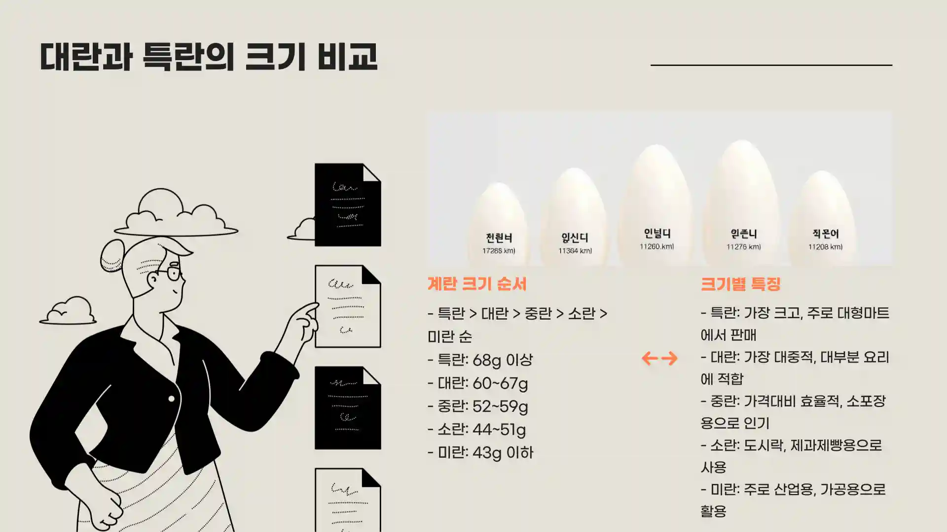 계란 크기 순서 종류 보관법