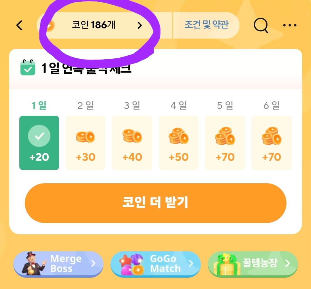 알리익스프레스 코인