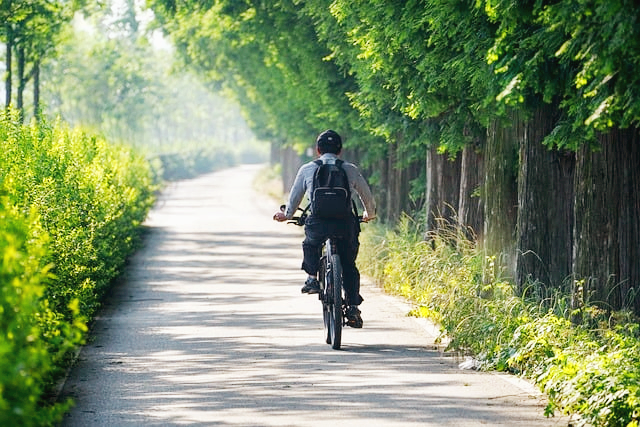 체류형생활시작