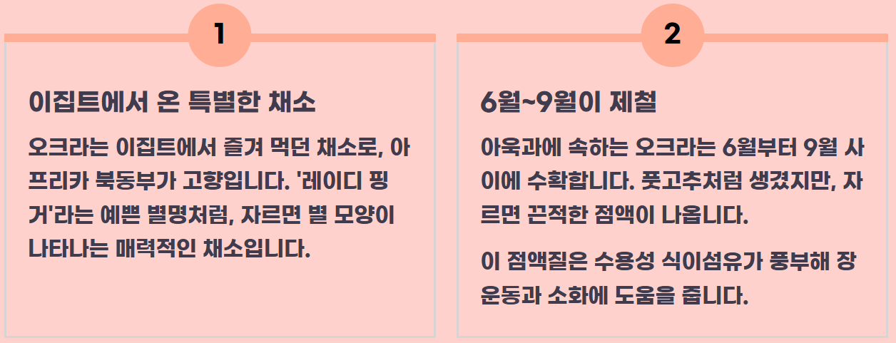 오크라 효능