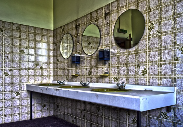 초파리는 습기가 많은 곳에서 잘 번식