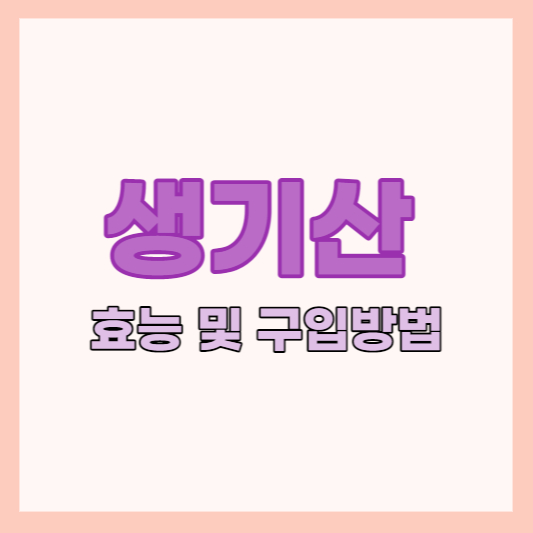 진정주약국 생기산 효능