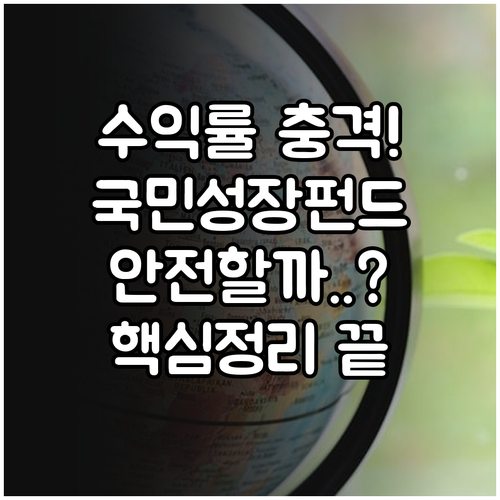 국민성장펀드 안정성 수익률 비교 및 ..
