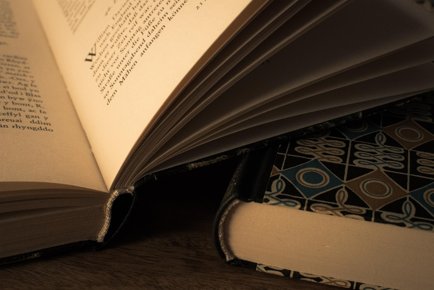 인문학도 추천 외국 소설 (시리즈, 철학, 작가) 참고 사진