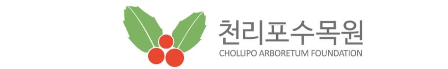 충남 태안 봄 여행지 BEST 3｜천리포수목원 목련(봄꽃)축제 주변 여행지