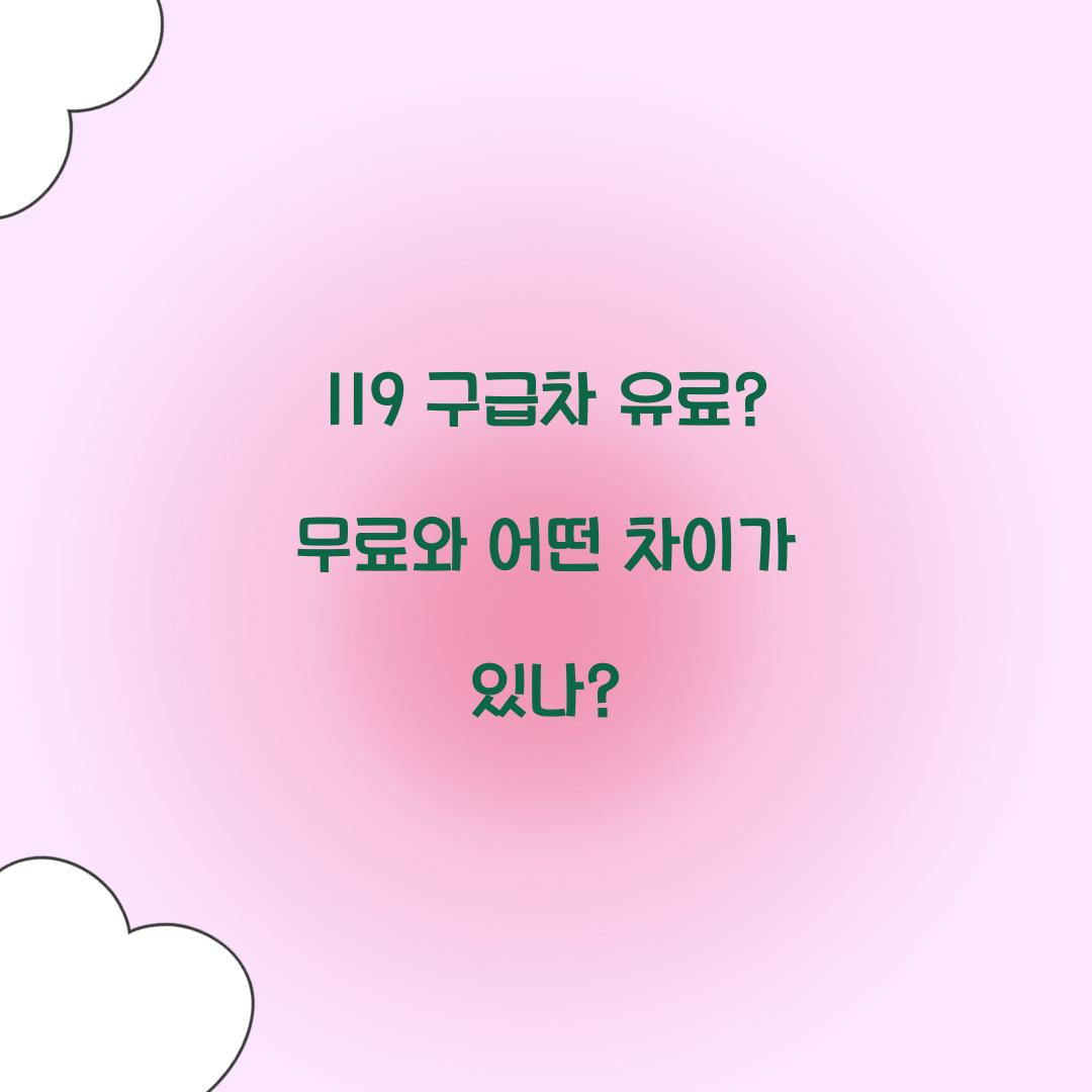 119 구급차 유료