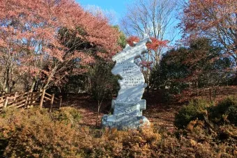 구례 가볼만한곳 베스트10 섬진강 벚꽃길 사성암 드라이브_14