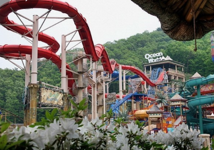 비발디파크 오션월드 운영시간