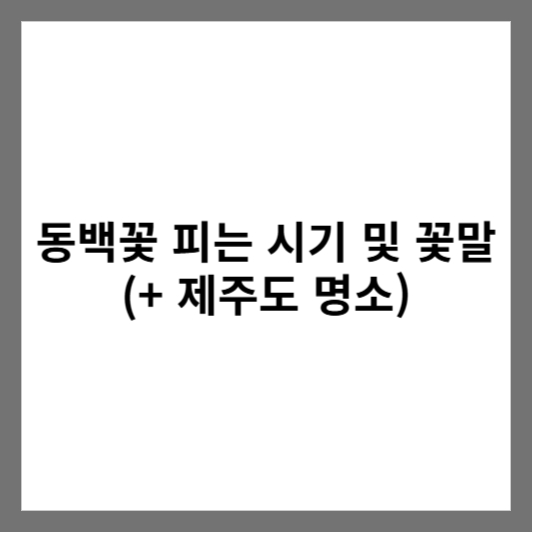 동백꽃 피는 시기 및 꽃말 (+ 제주도 명소)