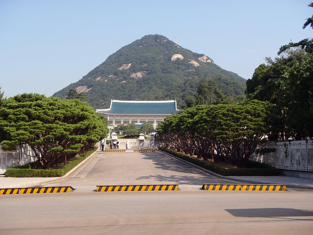서울 주차비 아끼는 방법｜모르면 매번 손해 보는 현실 팁