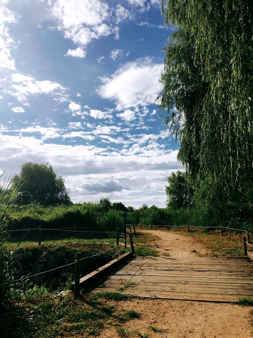 걷는여행 관련 사진