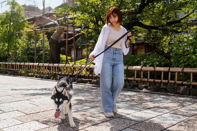 강아지와 산책하는 여성 사진