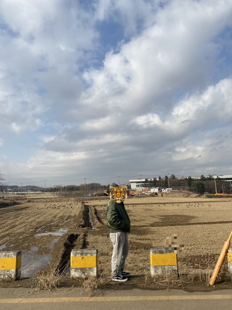 데일리 룩(오뭘입)_알파인더스트리 B-15 항공자켓 카키, 제멋 조거 팬츠 그레이, 반스 올드스쿨, 남자코디 ,남자패션, 데일리룩, 데일리패션, 데일리코디, ootd