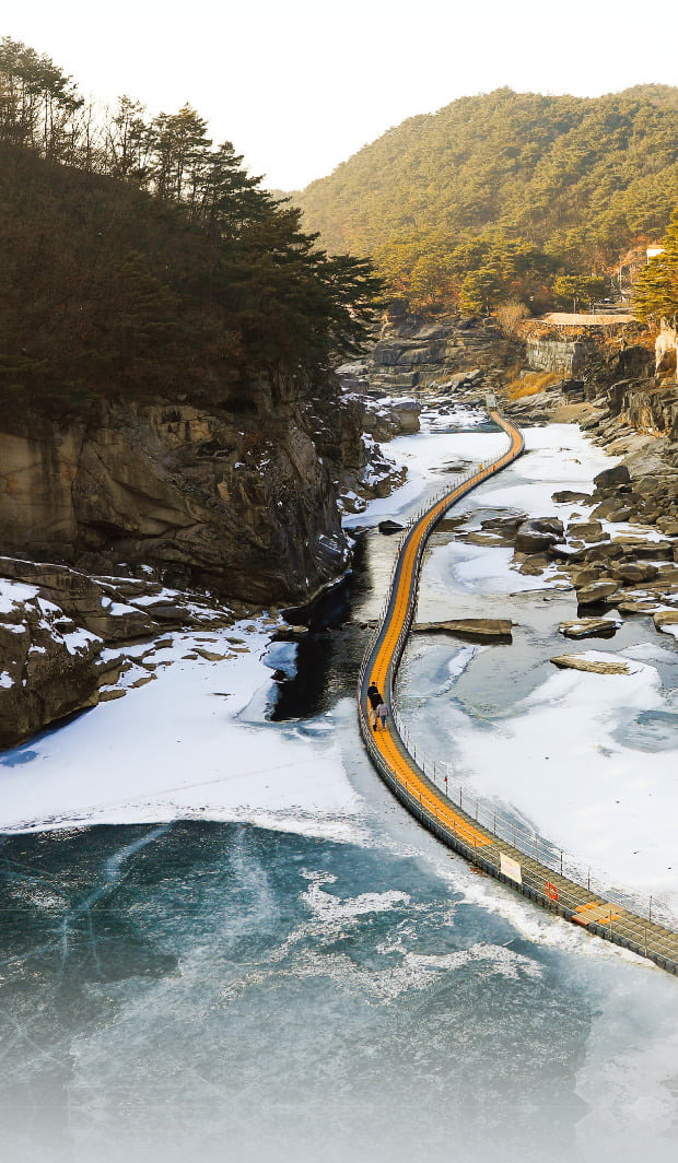 개통된 민통선 출입 열차로 간다|3월까지 꼭 가봐야 할 당일치기 여행지 7곳