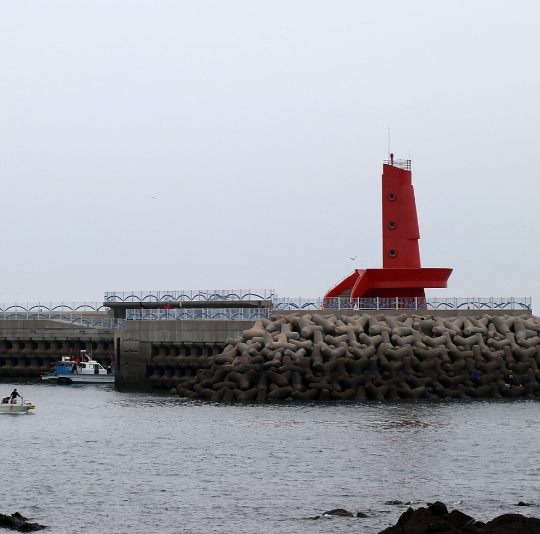 홍원항 전어·꽃게 축제 2025