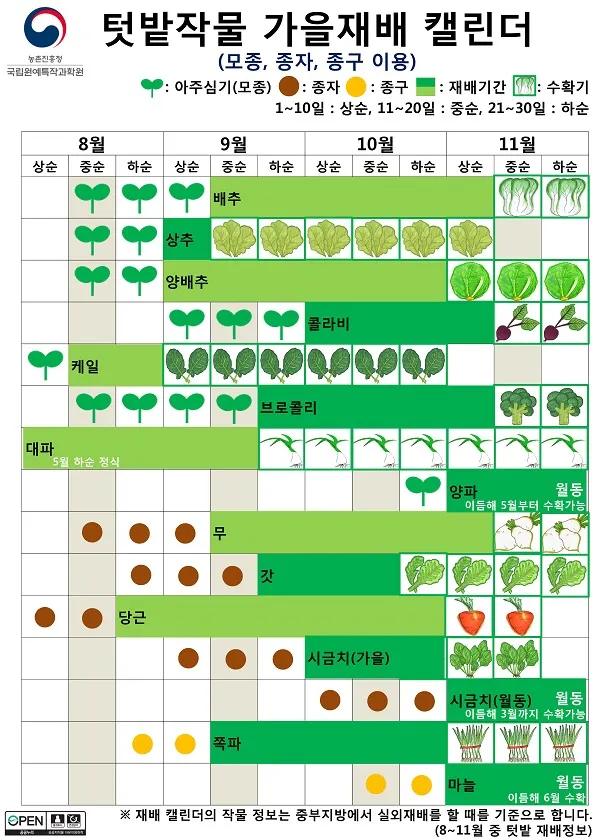 8월에 심는 밭작물 모종 채소 재배법 알아보기_1