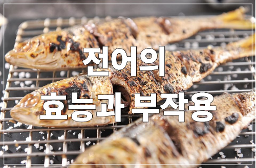 전어의 효능과 부작용