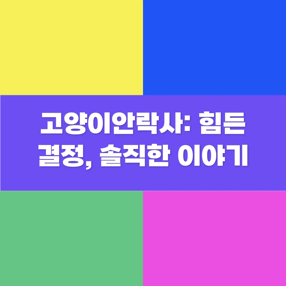 썸네일 이미지