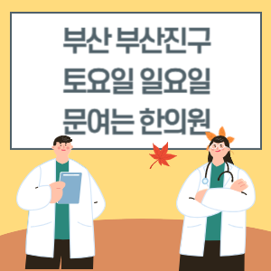 부산 부산진구 토요일 일요일 한의원 진료 병원 리스트