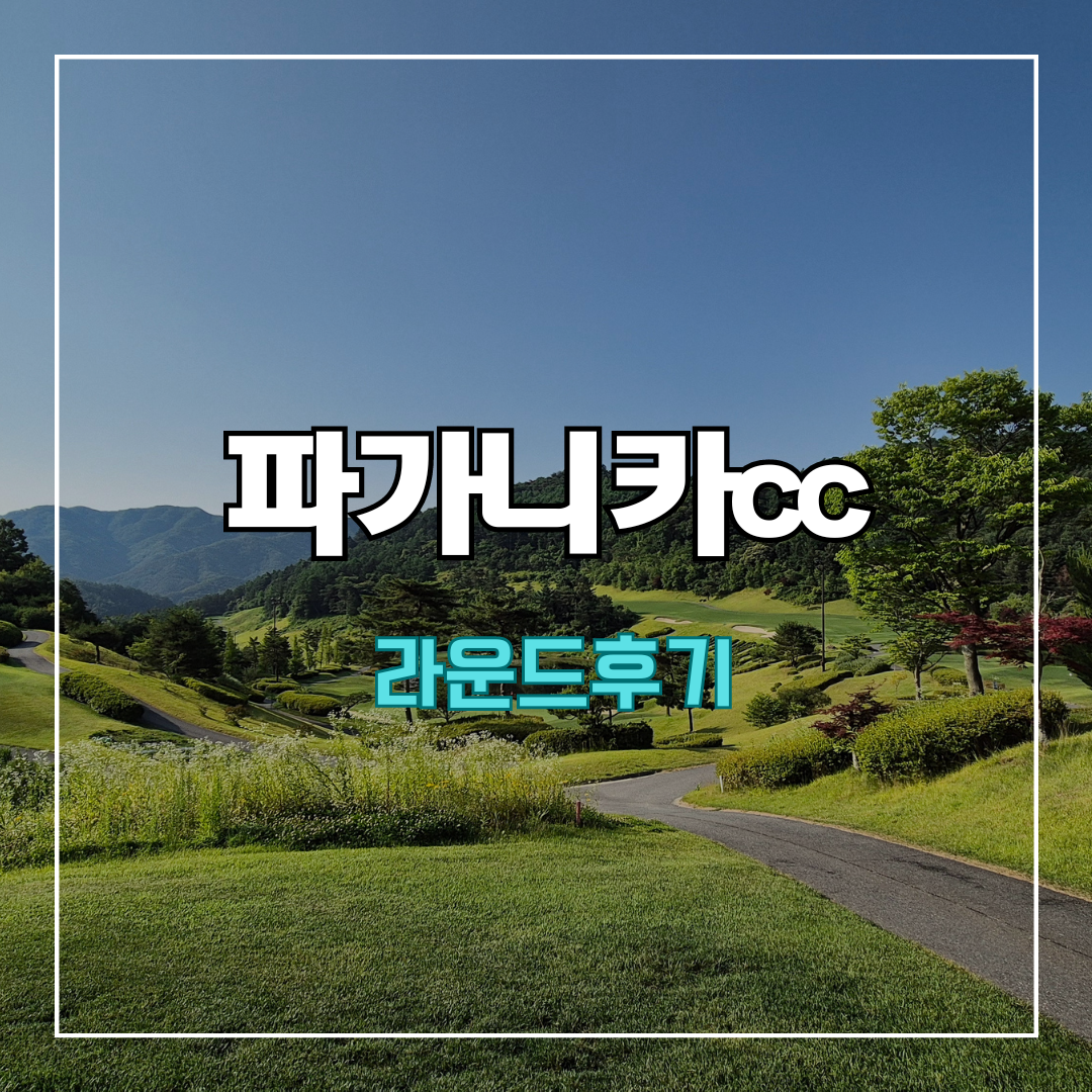 파가니카cc