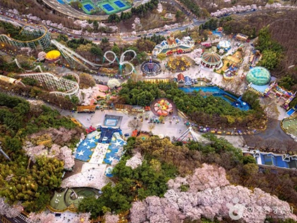 대구 이월드 블라썸 축제