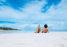 놀유니버스 에버랜드 정기권 365 스탠다드