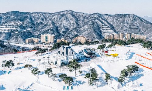 비발디파크 스키장 시즌권 25/26 할인 특가 정리