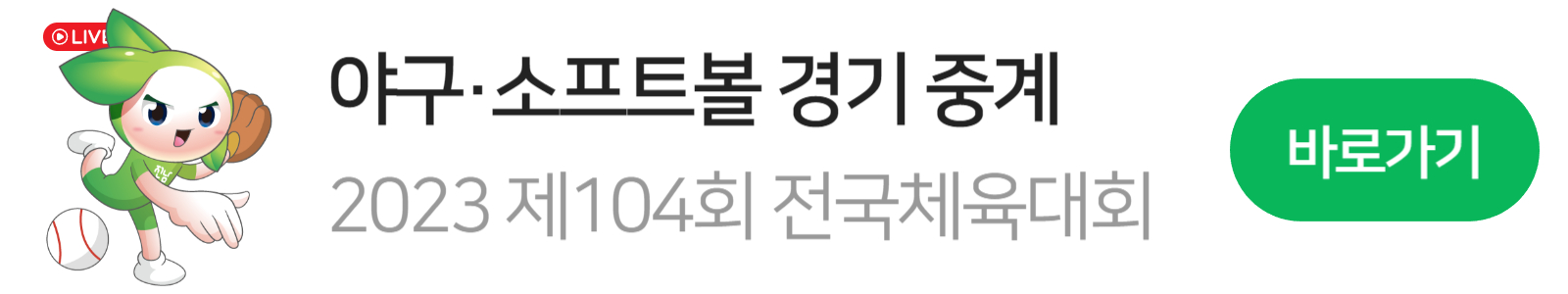 전국체전 야구소프트볼 마스코트