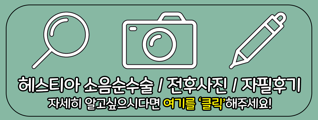 헤스티아 소음순수술 전후사진 자필후기