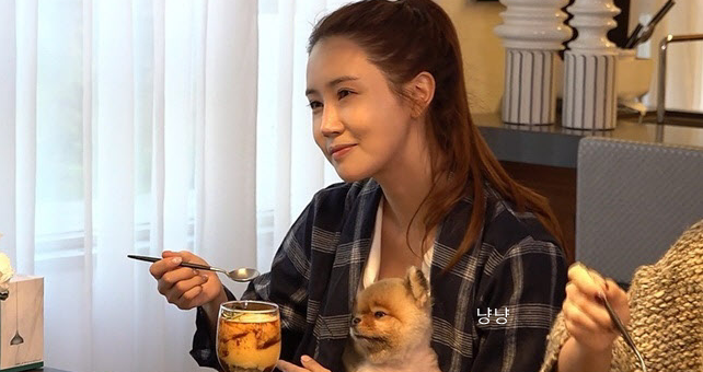 이다해