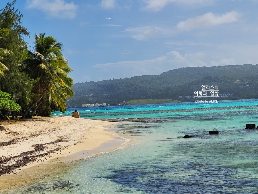 사이판 입국 최신 정보 필요 서류 영문 백신 접종 증명서, 필수입국신고서 폐지