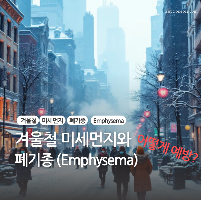 겨울철 미세먼지와 폐기종(Emphysema) -이미지
