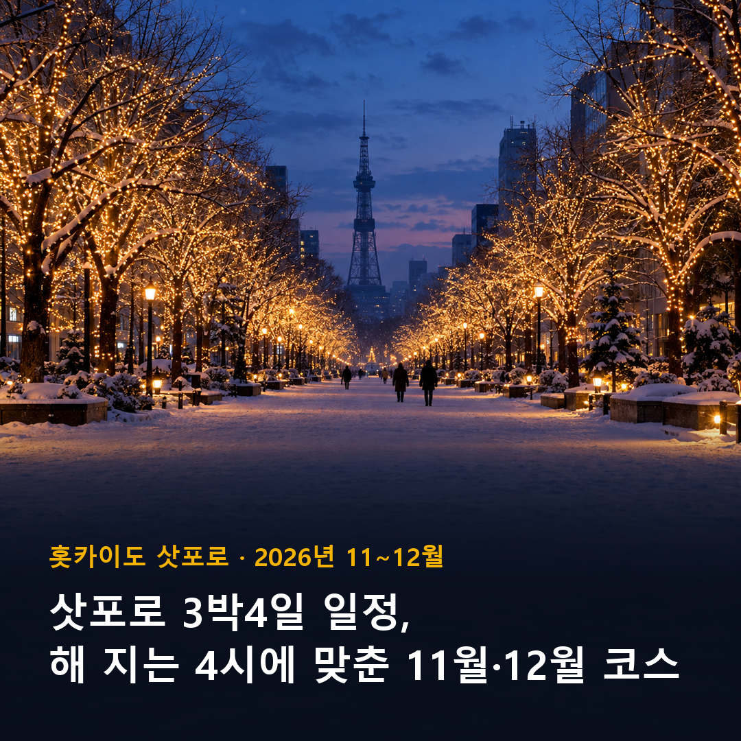 삿포로 3박4일 일정 해 질 녘 일루미네이션 가로수길