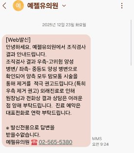 예젤유의원 맘모툼