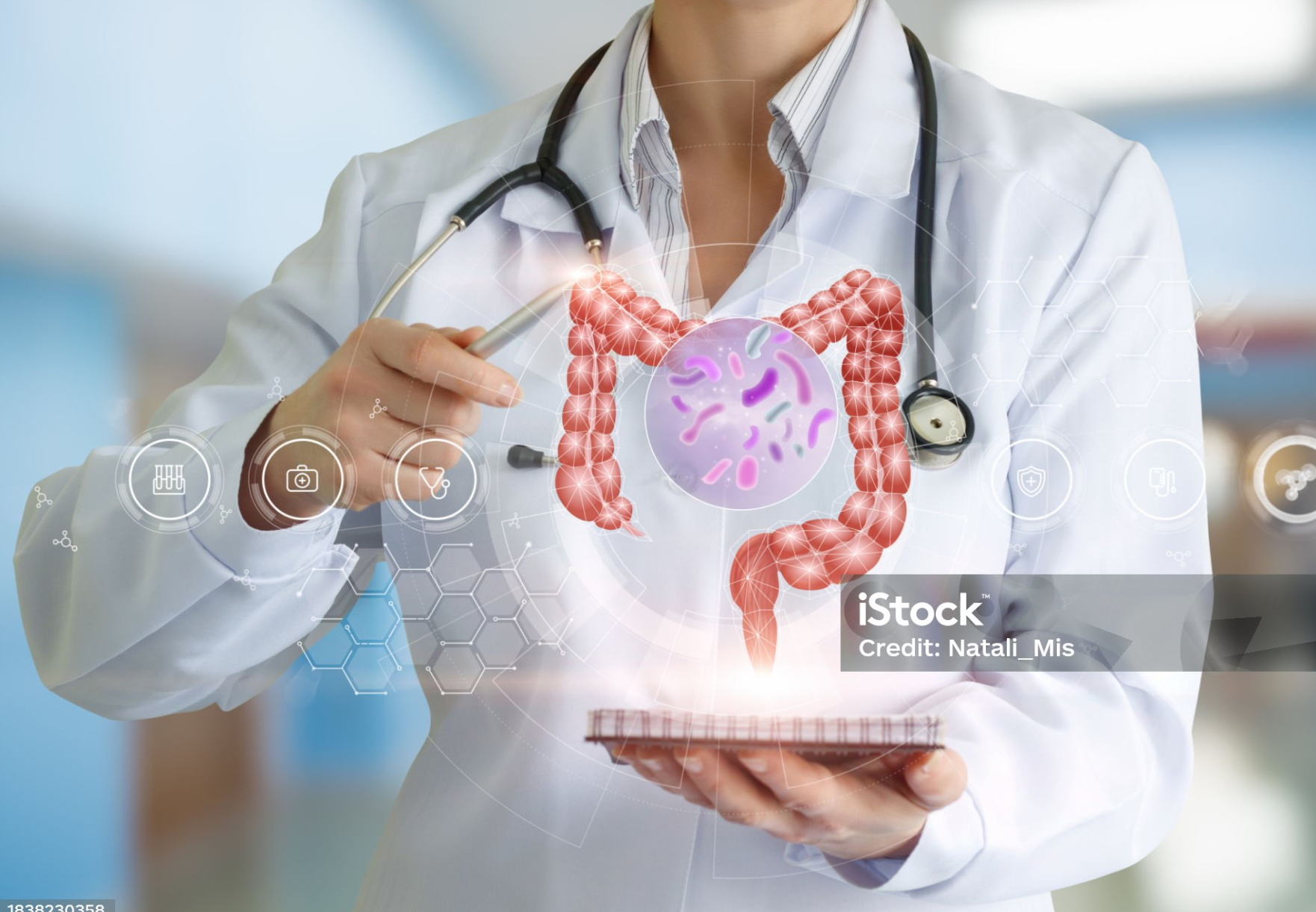 장내 환경을 결정하는 ‘장내 미생물’의 역할