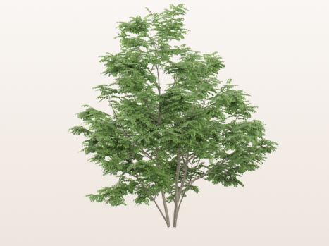 마이디데이-플로라필-효능-효과