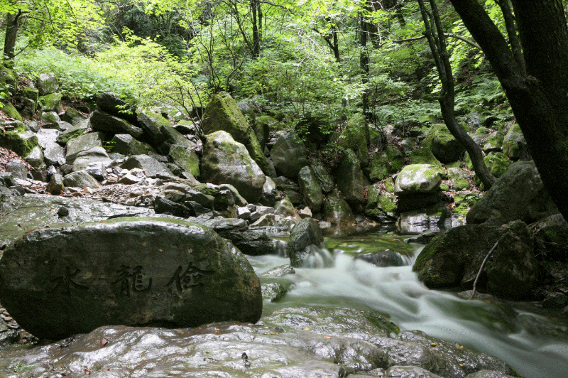 검룡소. 물이 있다