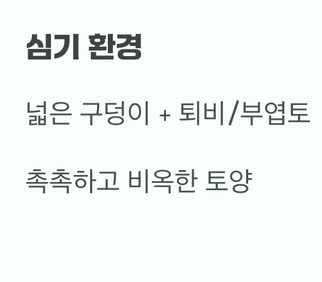 비결 1. 숲속 환경, 그대로 옮겨오기