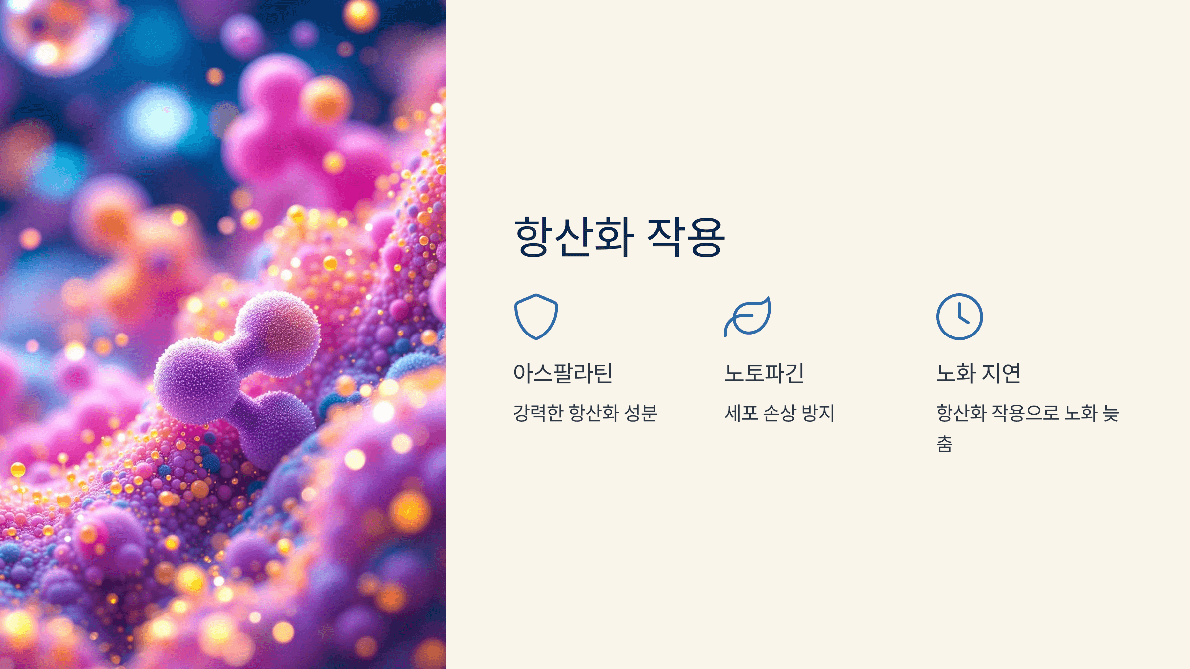 루이보스차 사진입니다.