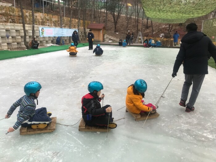 1월 축제 가볼만한곳