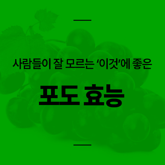 빈혈에 좋은 포도 효능