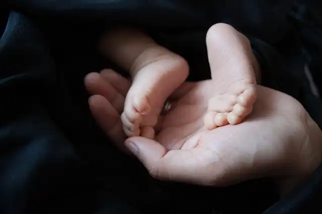 베트남 사상가의 교훈. 말이 무기가 되지 않도록: 틱낫한의 언어 윤리 실천법