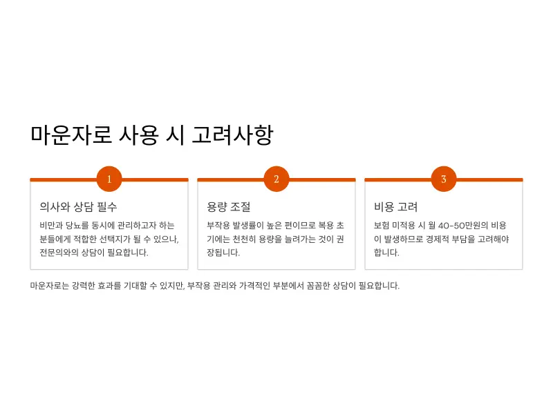 마운자로10_