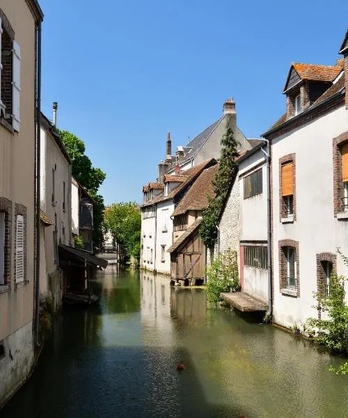 몽타르지의 개 픽세레쿠르 단편문학 작품 분석_1