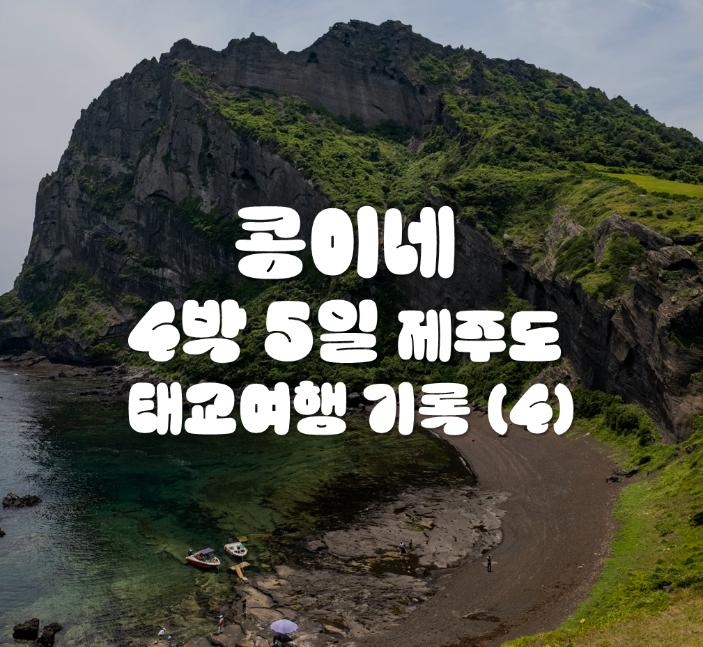 제주도 풍경