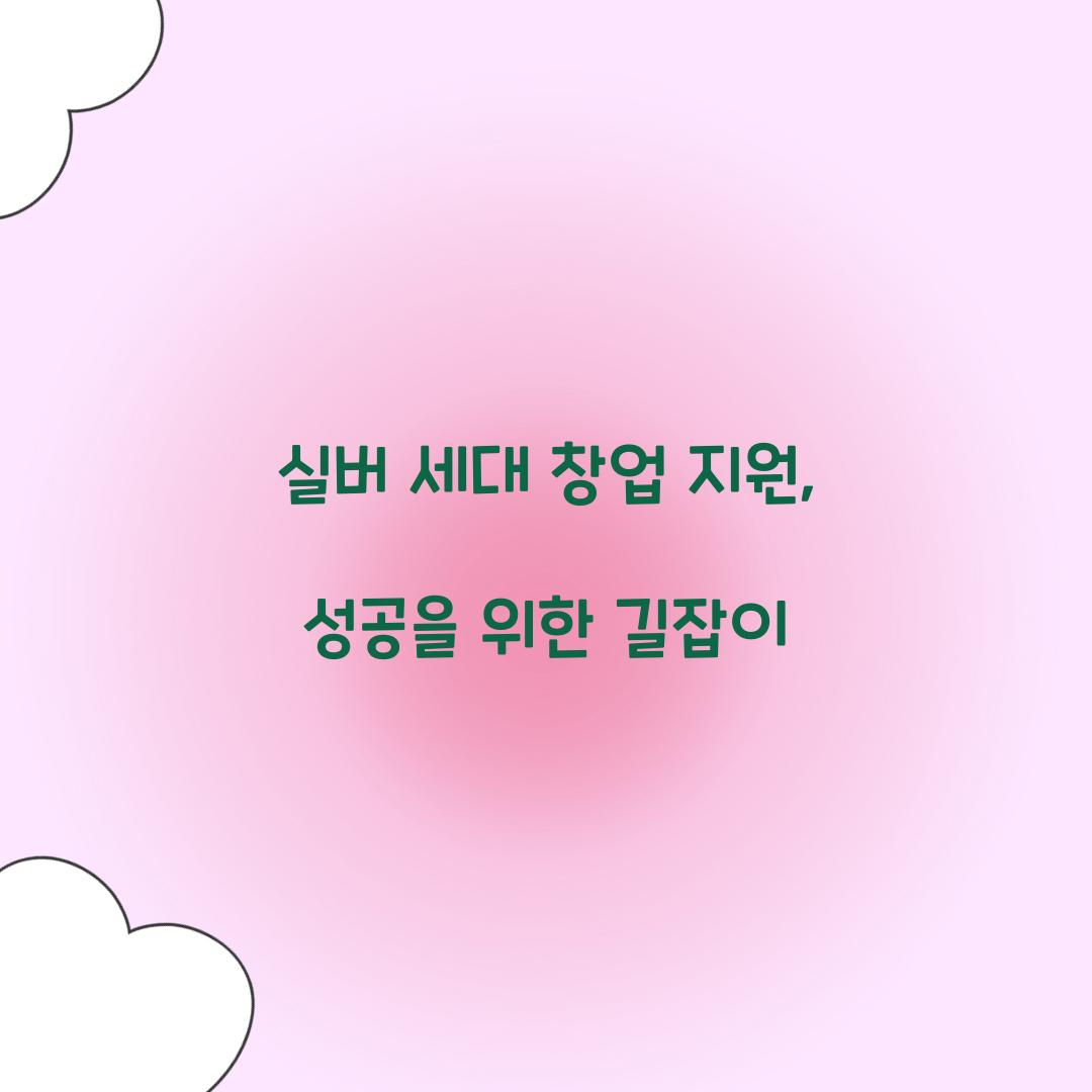 실버 세대 창업 지원