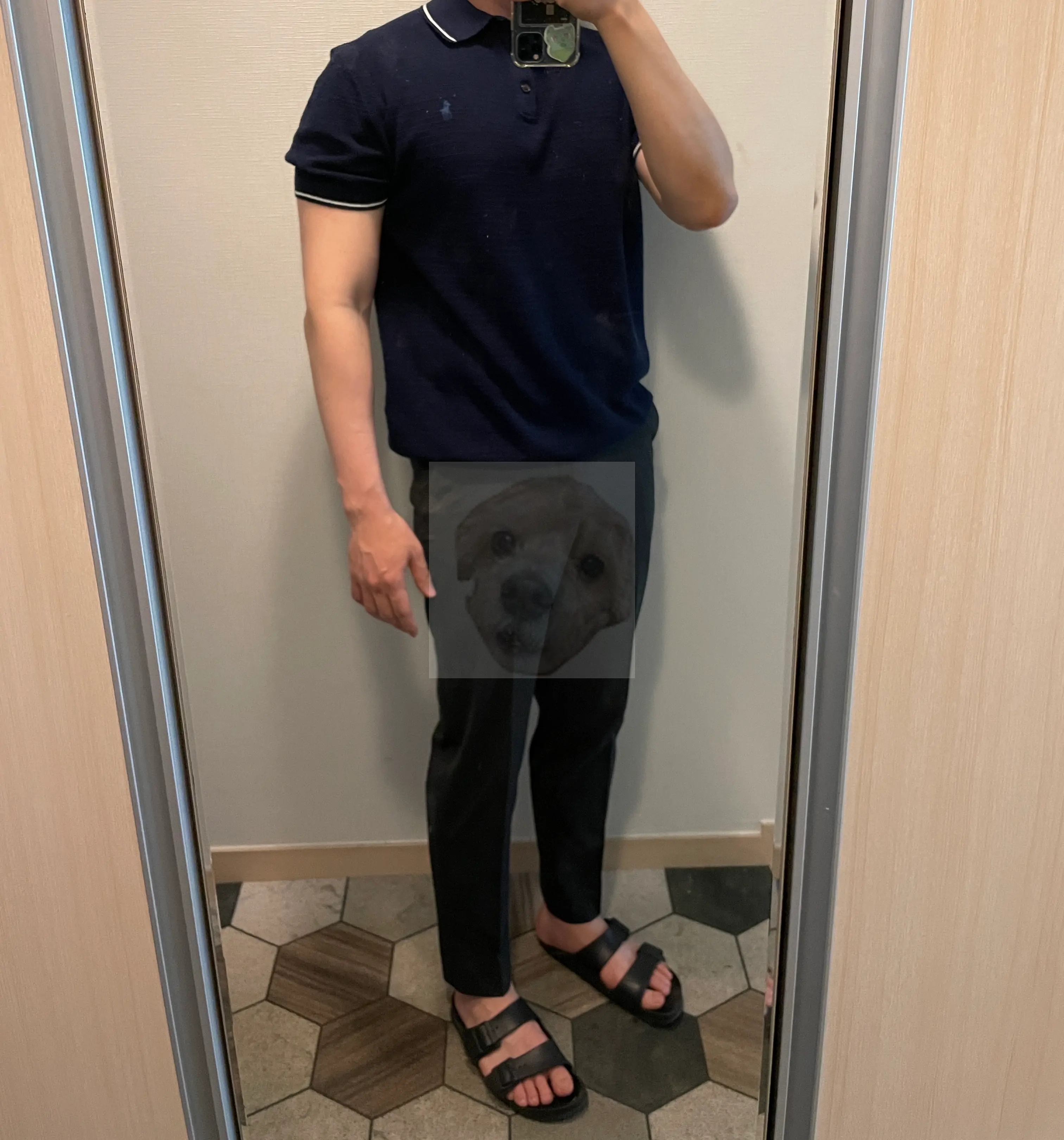 폴로 카라티와 지오다노 슬랙스 착용사진